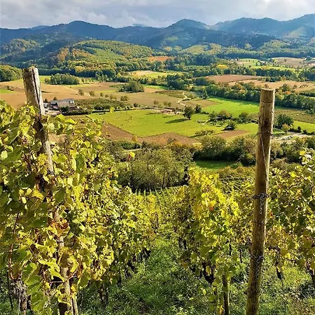 Hotel Apart Hotel Freiburg Friburgo de Brisgovia