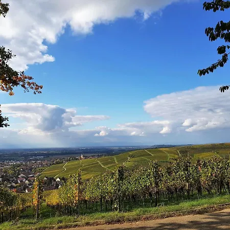 Apart Hotel Freiburg فندق