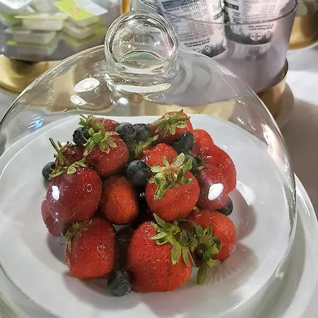 Apart Hotel Freiburg فندق 3*