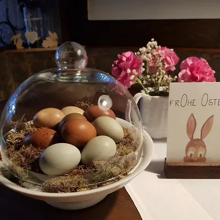 Apart Hotel Freiburg فندق