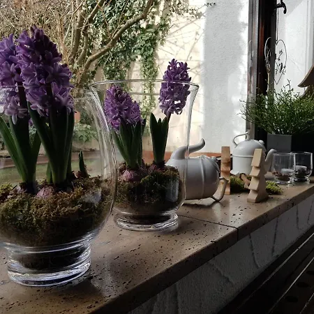 Apart Hotel Freiburg فرايبورغ