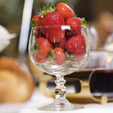 Apart Hotel Freiburg فندق